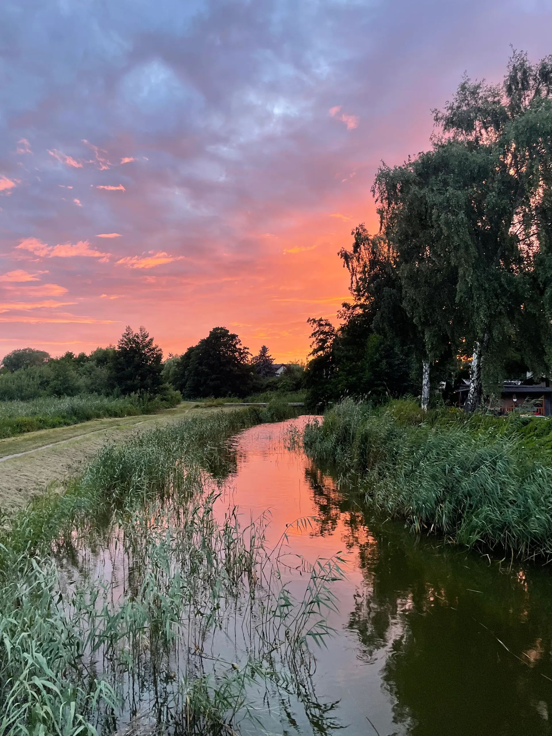 Trzciny nad spokojną wodą odbijającą pomarańczowe niebo po zachodzie słońca