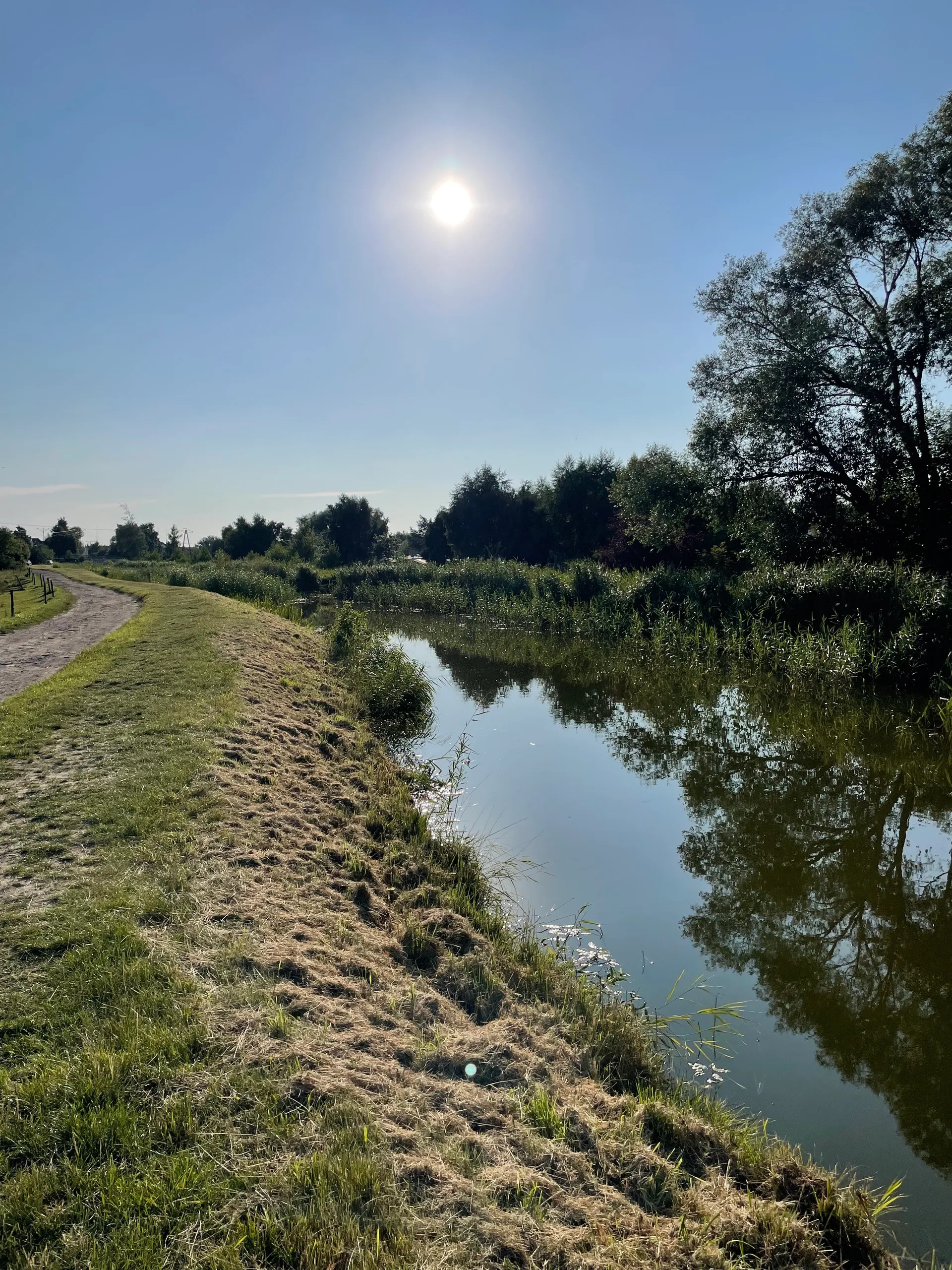 Wierzby odbijające się w spokojnej wodzie rozlewiska pod Łebą, obok trawiasta ścieżka